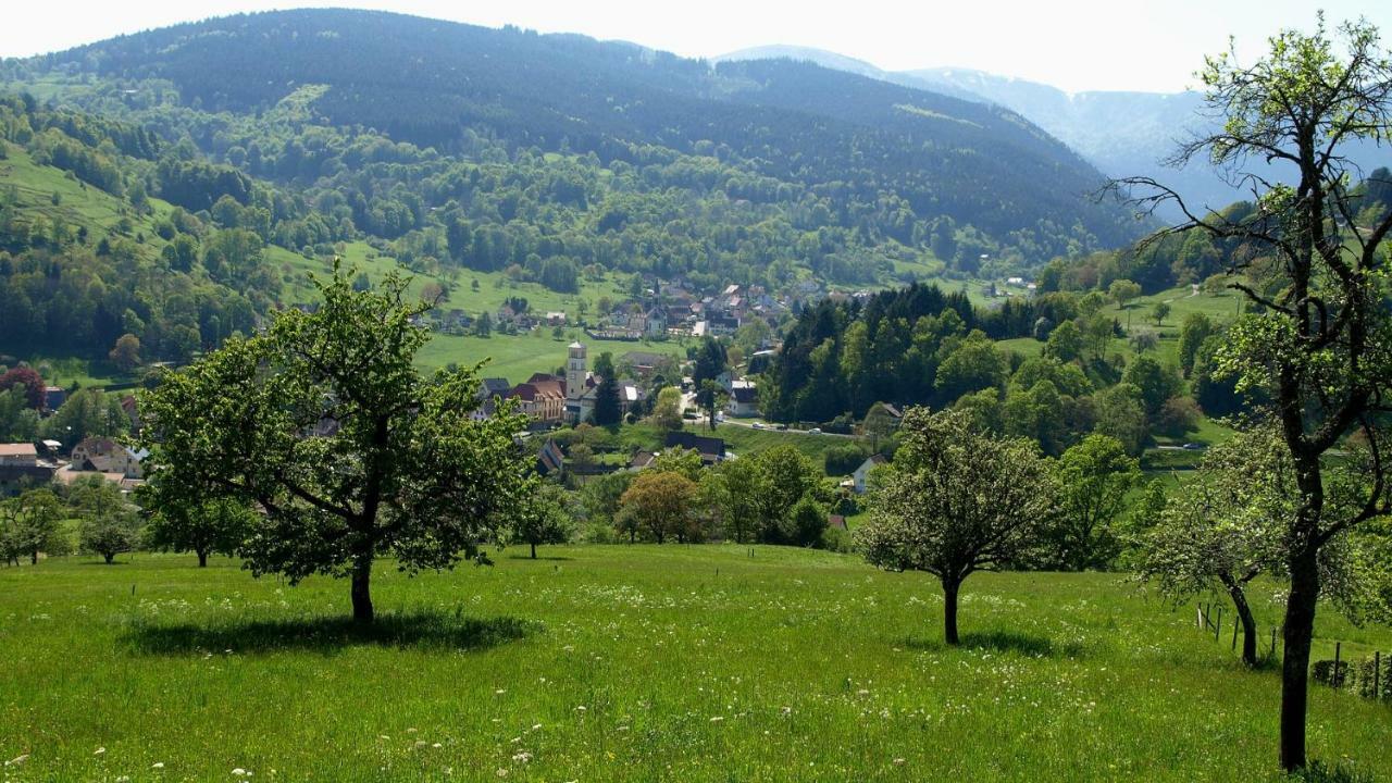 Les Studios Du Frankenthal Stosswihr Exterior photo